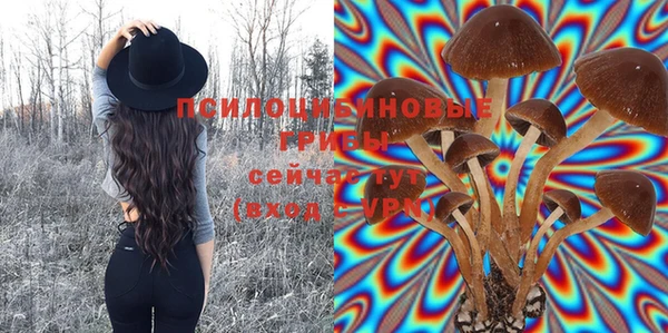 mdpv Нязепетровск