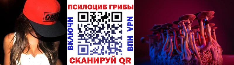 Купить где  Кочубеевское  Галлюциногенные грибы Psilocybine cubensis 